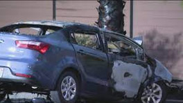 Stolen Kia Passenger Burns To Death as Driver Flees In Fiery Hit-and-Run Crash in San Jose