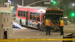 Anai Lindsey Arrested For Hijacking Los Angeles Metro Bus