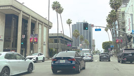 Cornell Harvey, 35, Arrested after Police Pursuit Crash in Hollywood