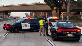 San Diego Pedestrian Decapitated by Multiple Vehicles on 5 Freeway