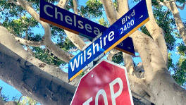 Santa Monica Homeless Man Struck on Wilshire Boulevard