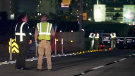 Los Angeles Pedestrian Fatally Struck on 110 Freeway