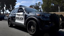 Jasmineliney C. Rosales, 35, Fatally Struck After 2 Vehicle Crash Near Olivas Park Drive