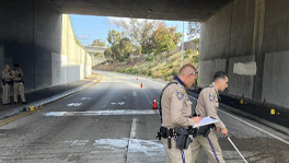 Kurtis Haynes Killed in Freeway Connector Collision in Long Beach